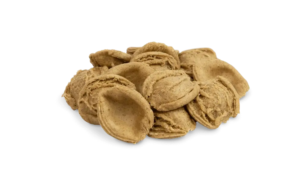 ORECCHIETTE DI GRANO ARSO 12pzX500gr