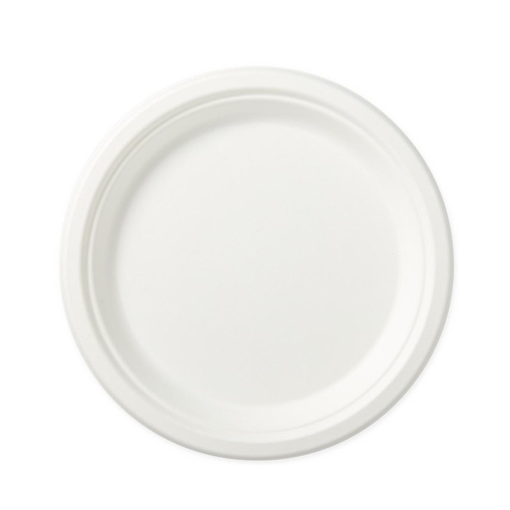 PIATTO TONDO IN POLPA 26CM 50PZ(SDG)