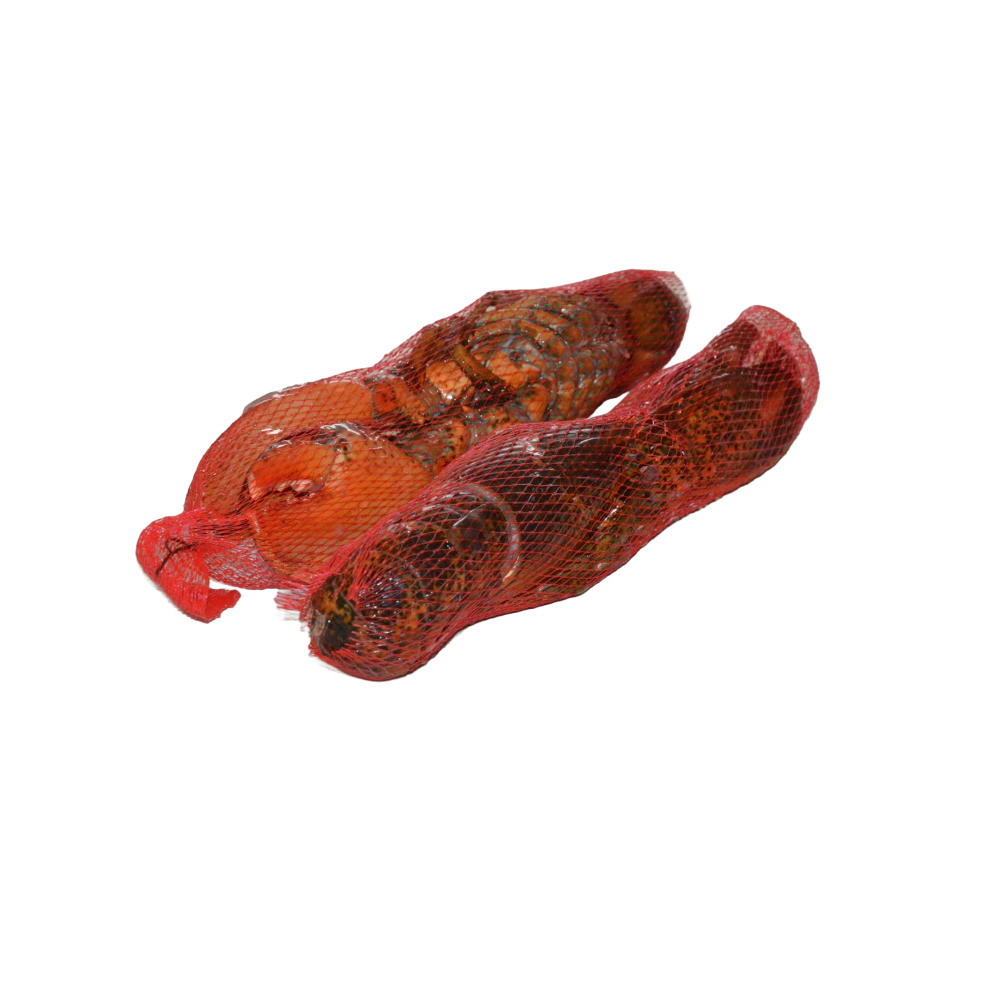 AMERICAN LOBSTER RAW 500/600 4,54KG NET (COM)
