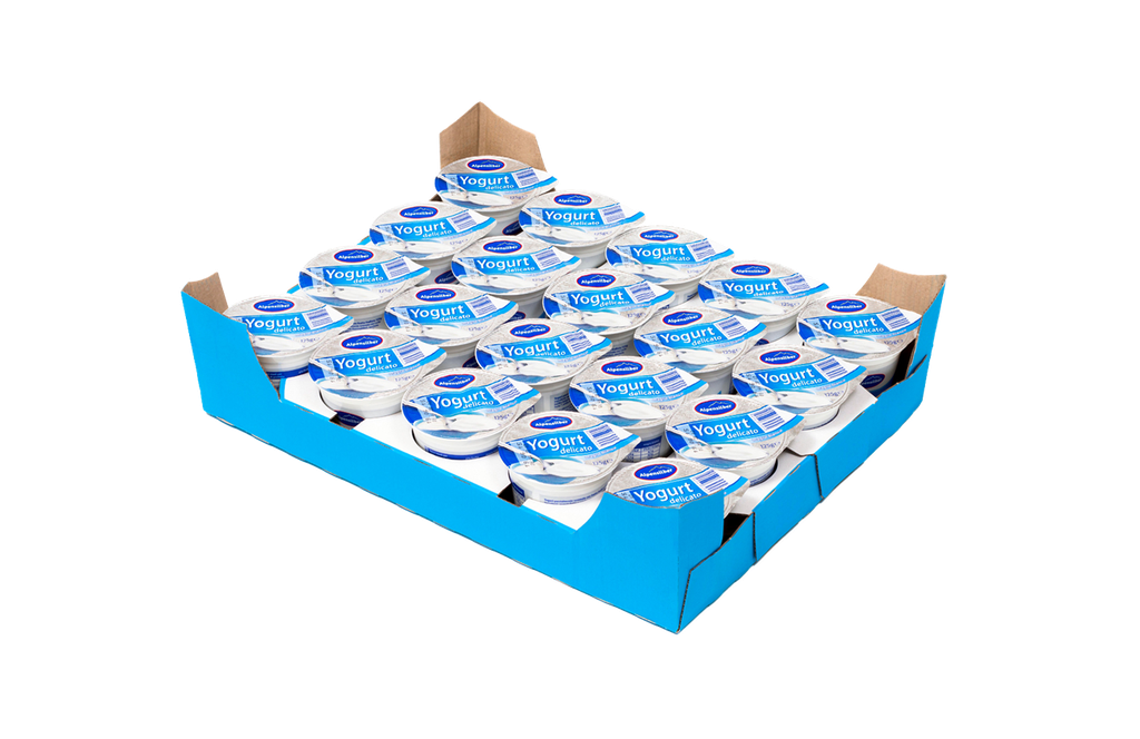 LOW-FAT PLAIN YOGURT