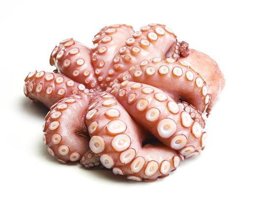 POLPO INDOPACIFICO FAO71 500/1000 IQF 15KG