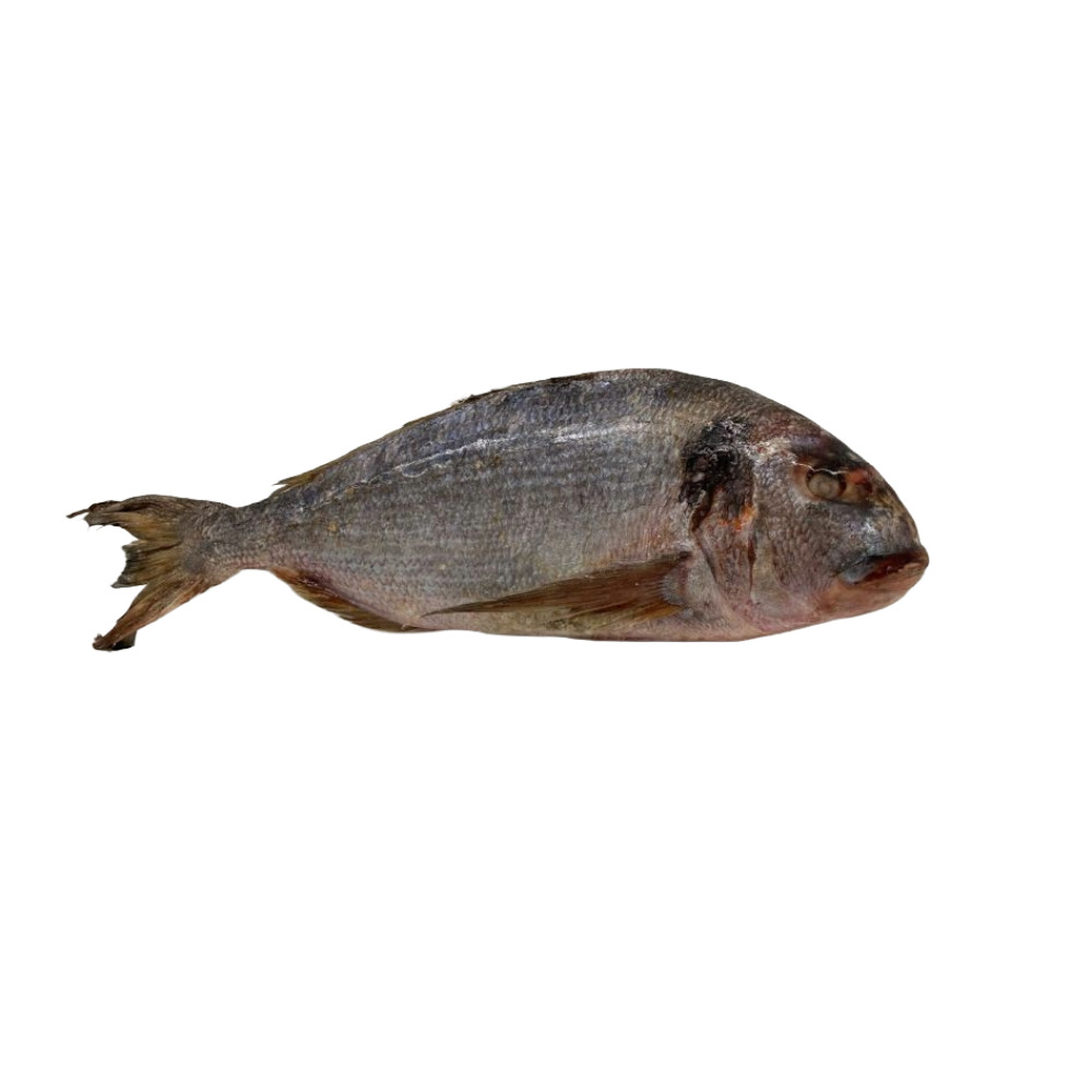 SEA BREAM MOROCCO BORDO G 3KG CA 20KG CA (IK)