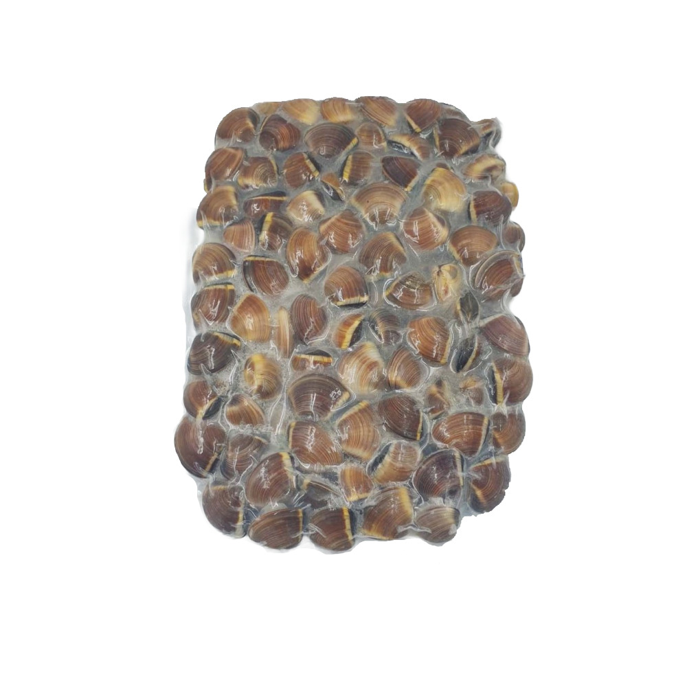 VONGOLE BROWN COTTE 60/80 1KG