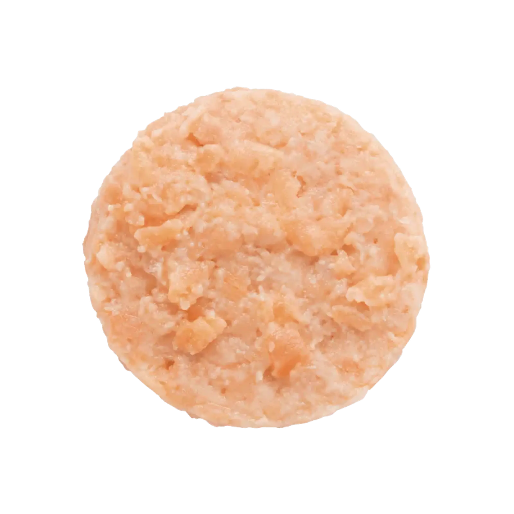 BURGER DI SALMONE 100GR