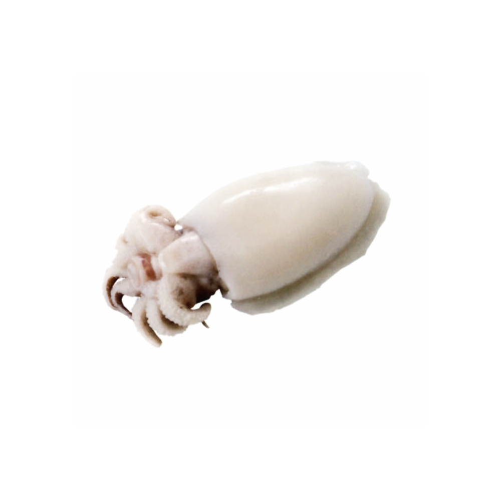 SEPPIA PULITA 1/2 INDIA IQF 10KG(PR)