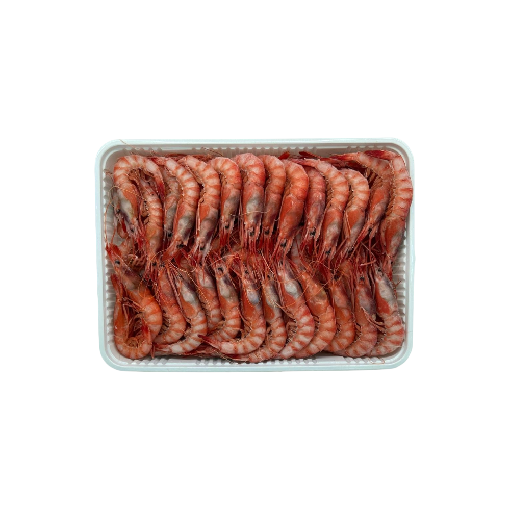 GAMBERO ROSSO 4° MAZARA FAO 37.2.2 1KG NETTO(AL)