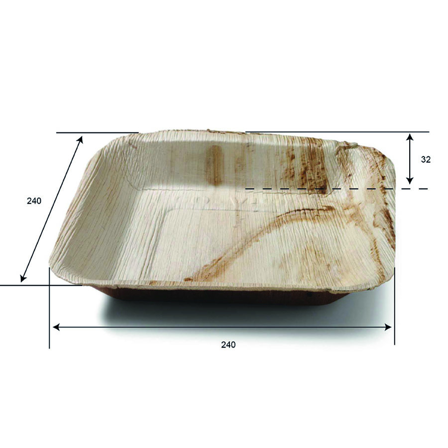 SQUARE PALM PLATE 23X22CM 25PCS (SDG)