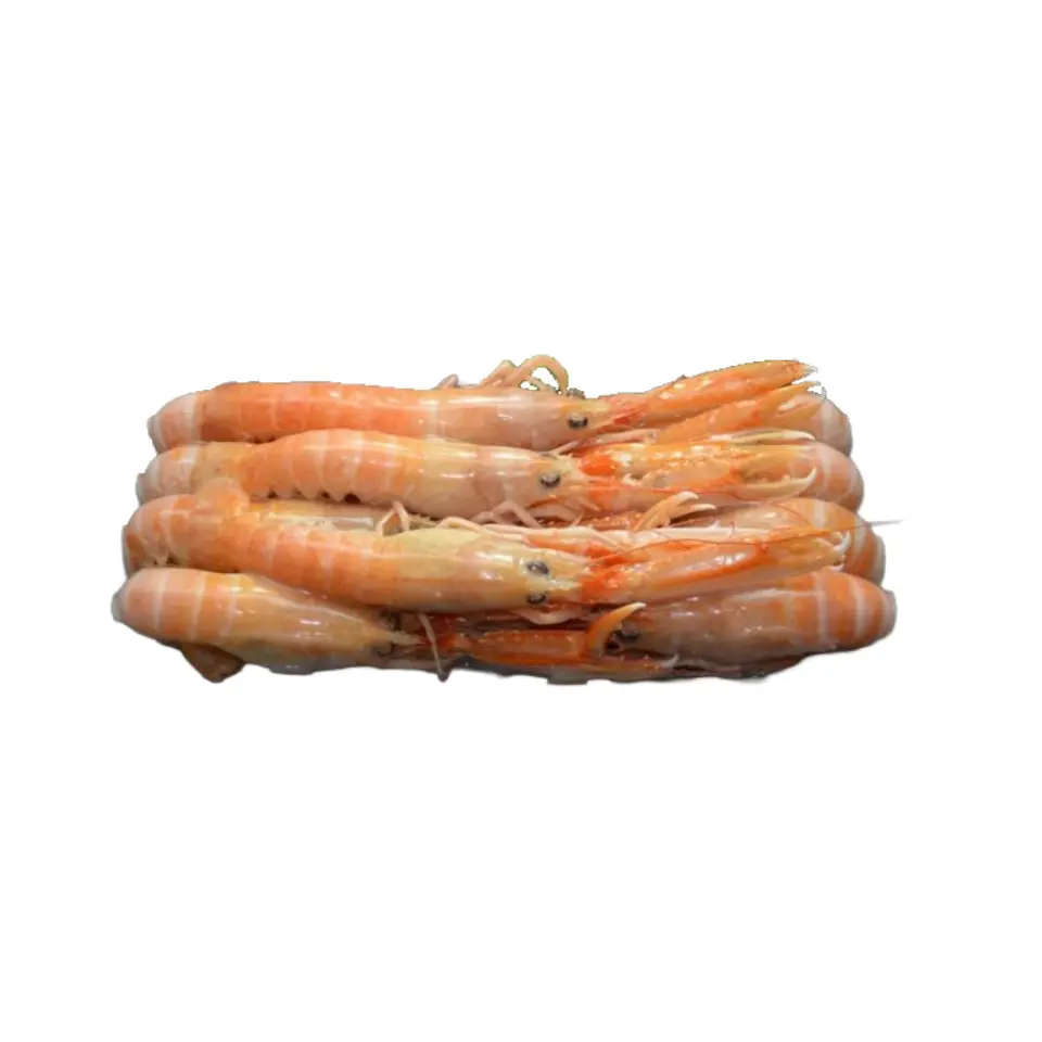 IRISH SCAMPI 8/10 ROONEY FISH 1,350KG