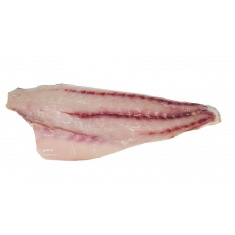 FILETTO OMBRINA 1000/2000 ATLANTICO 10KG