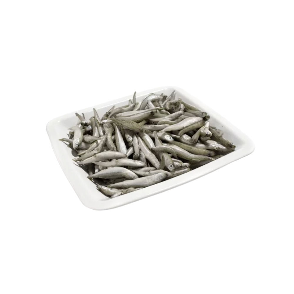 LATTERINI PESCATE IN ACQUE DOLCI TURCHIA 10PZX1KG