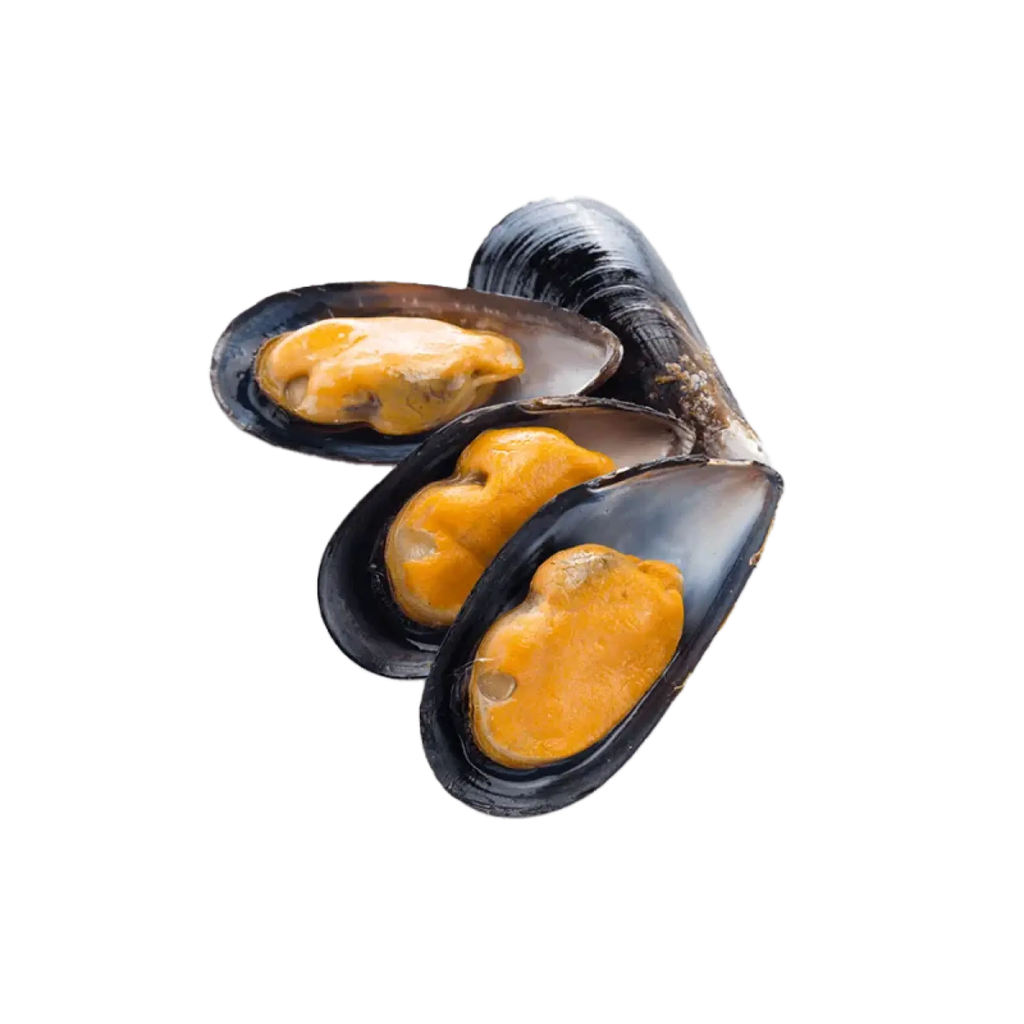 COZZE CILE MEZZO GUSCIO 60/80 8,28KG(ID)