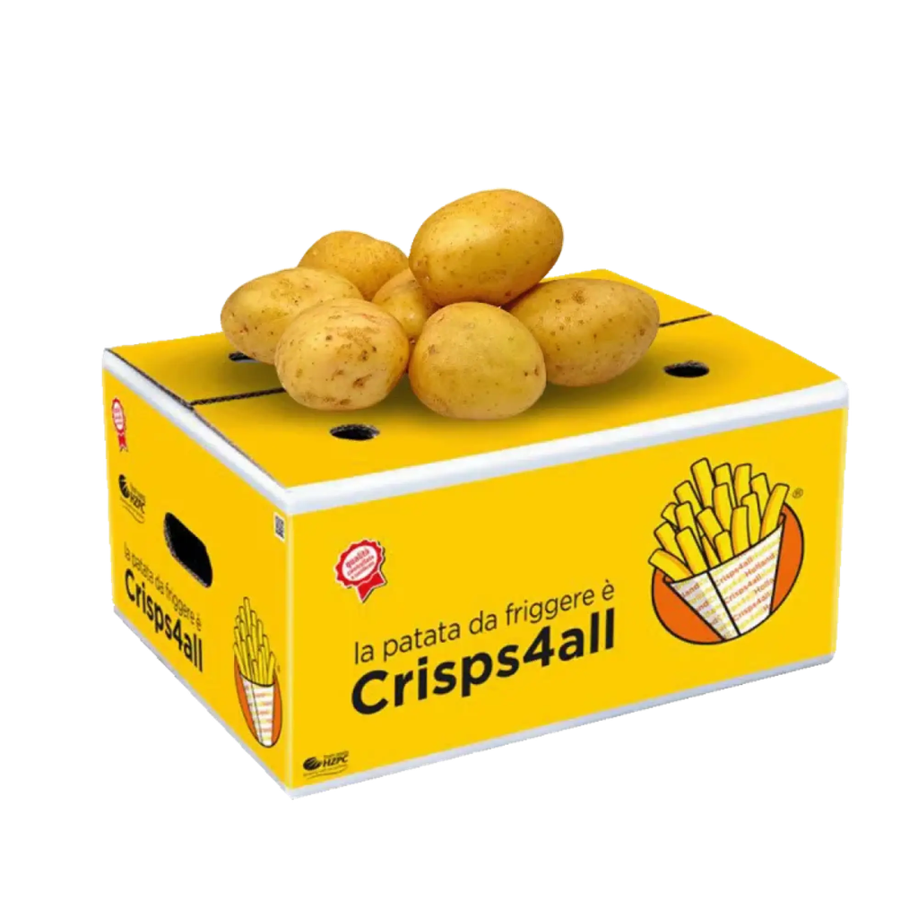 PATATE FRITTURA CRISPS4ALL 12KG(SA)