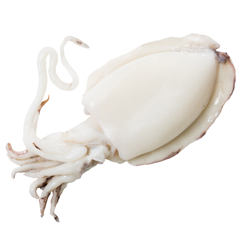 SEPPIA PULITA 200/400 IQF AFRICACOLD 6KG(ID)