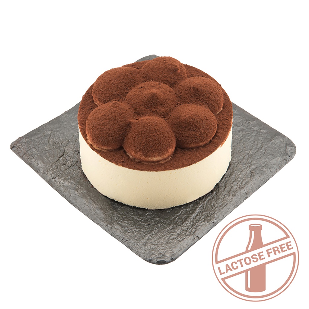 SINGLE-PORTION TIRAMISU' GLUTEN-FREE/LACTOSE-FREE 9PCSX90GR (TU)