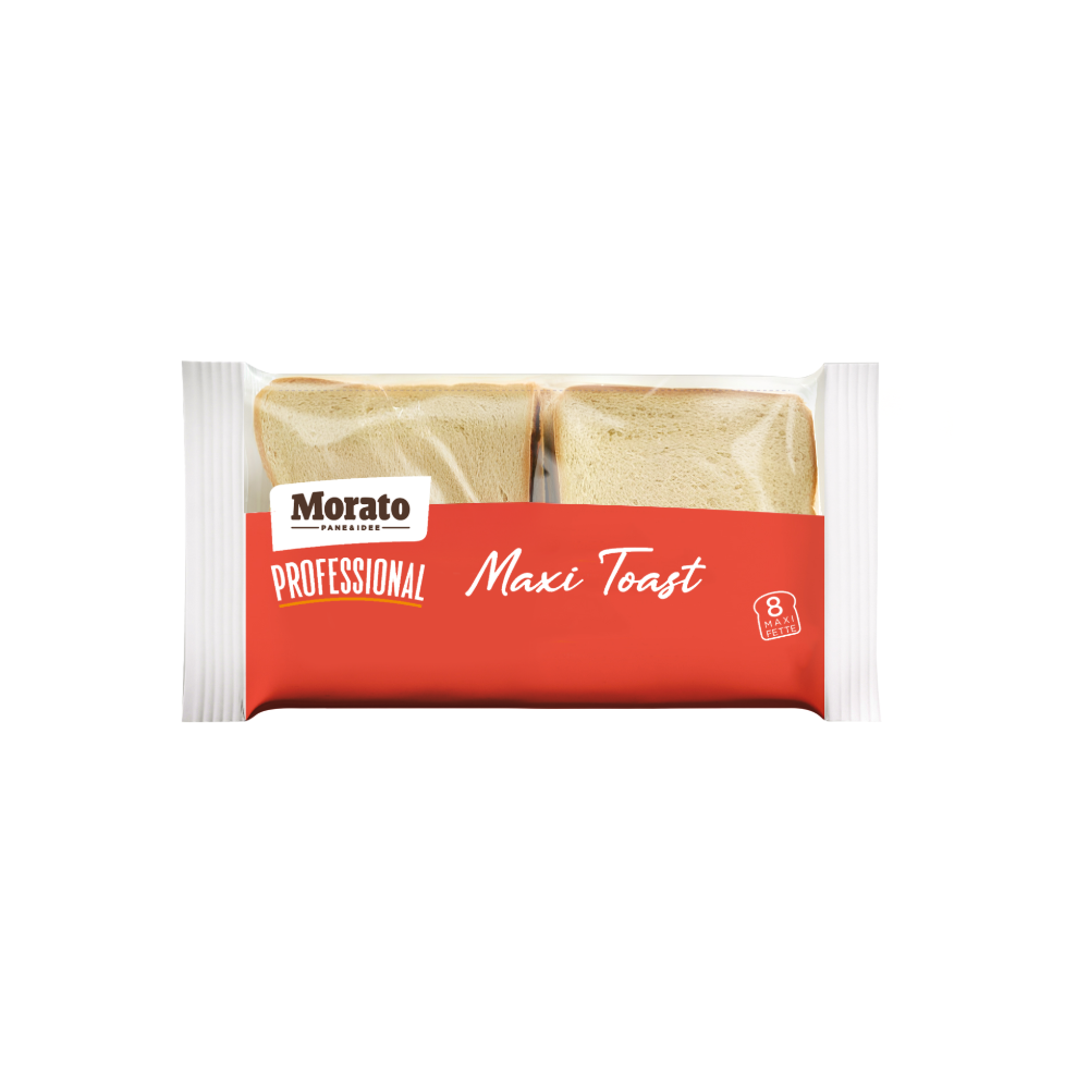 MAXI TOAST 17X17 4PCSX750GR (MO)