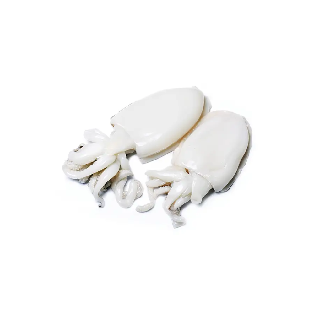 SEPPIA MAROCCO IQF 400/600 12KG(IC)