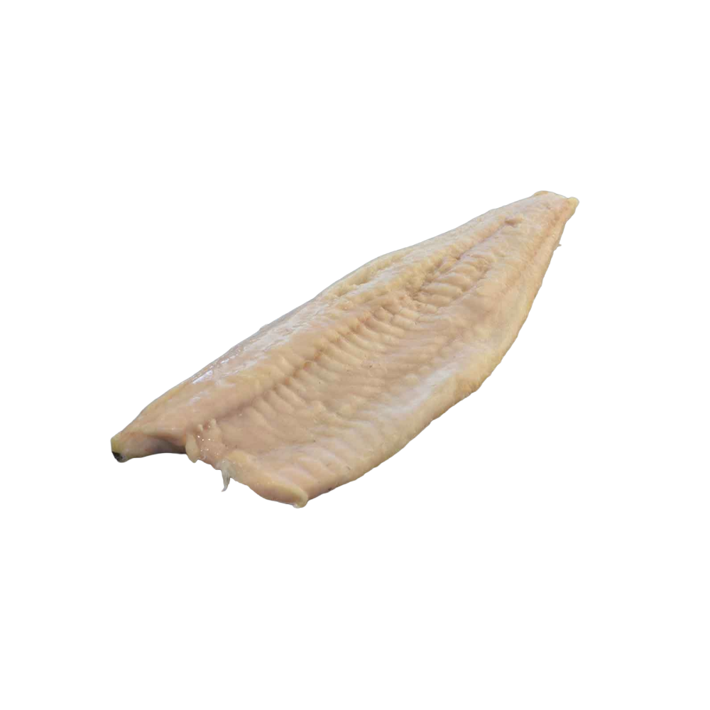 SAITHE FILLET 500/1000 IQF 9,9KG NET (ICE)