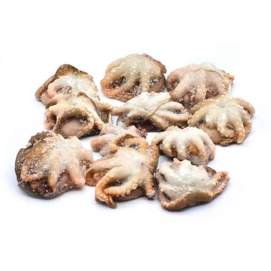 BABY OCTOPUS 20/40 - 10pzX1kg