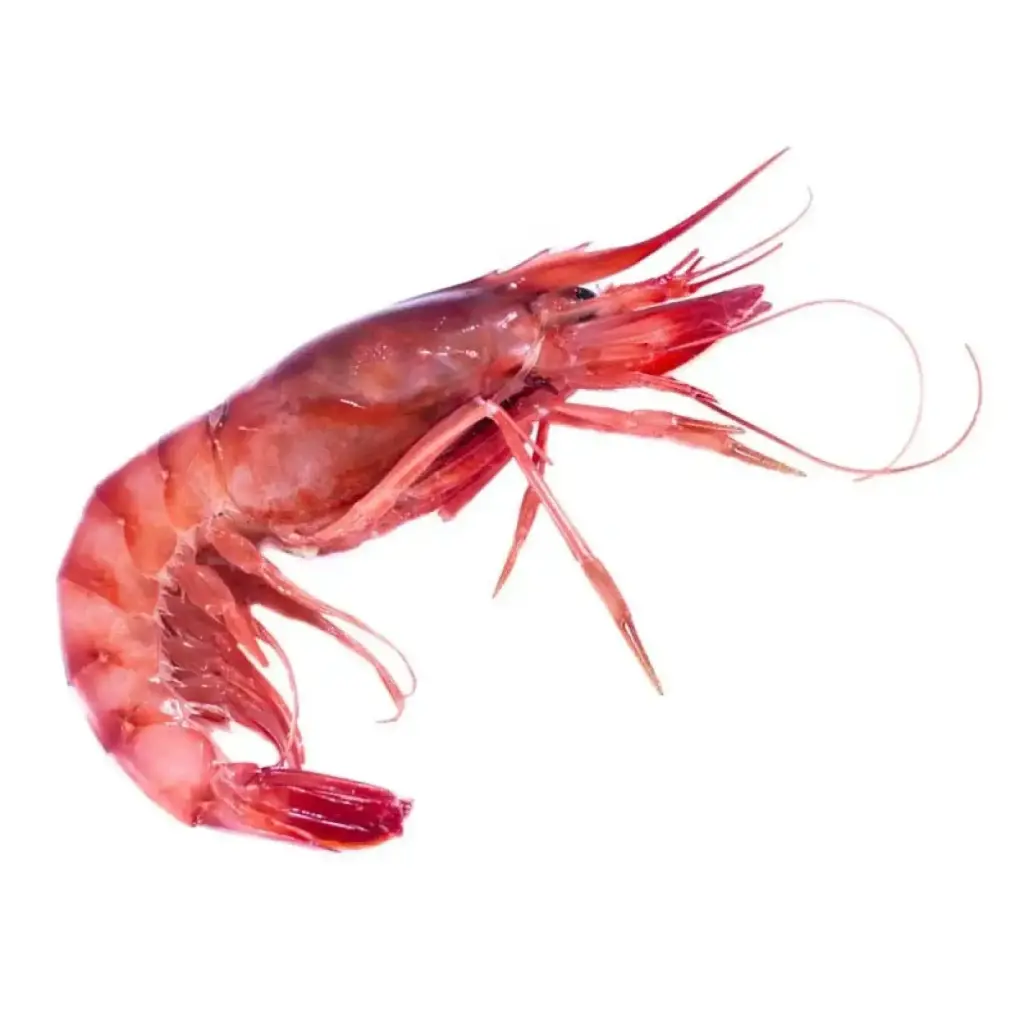 MAZARA PURPLE PRAWNS 2° 1kg (40)