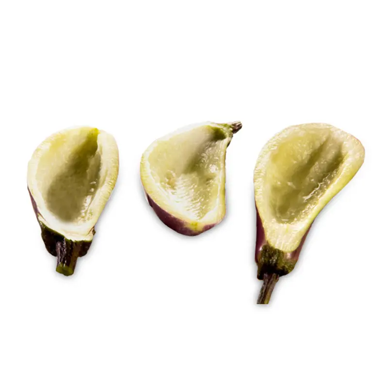 BARCHETTE DI MELANZANA MIGNON 2pzX2kg(SC) AUBERG.