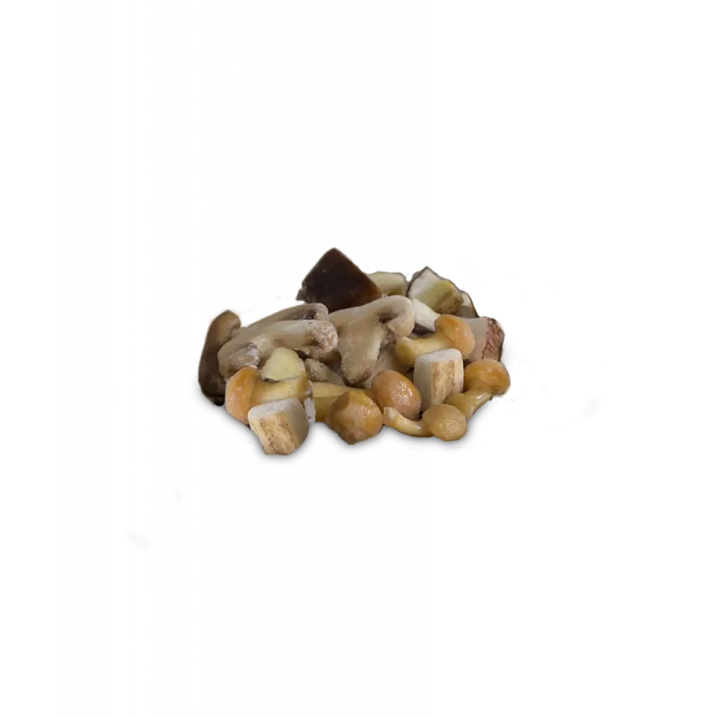 MISTO FUNGHI MX 8pzX1kg(GF) WILD MIX MUSHROOMS WITH PORCINI