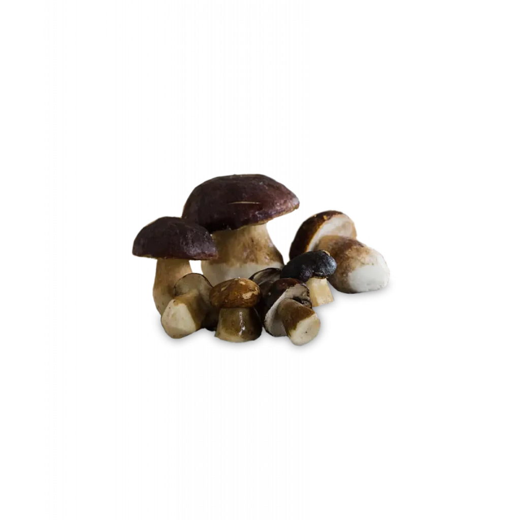 PORCINO INTERO M 6pzX1kg(GF) WHOLE PORCINI