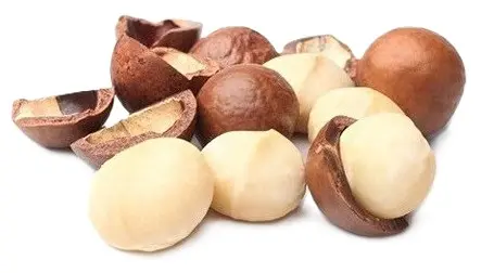 MACADAMIA HALVES 1KG