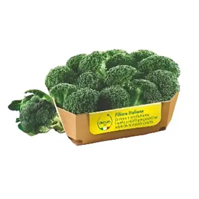 BROCCOLI ROSETTE IQF 4pzX2kg(OR)