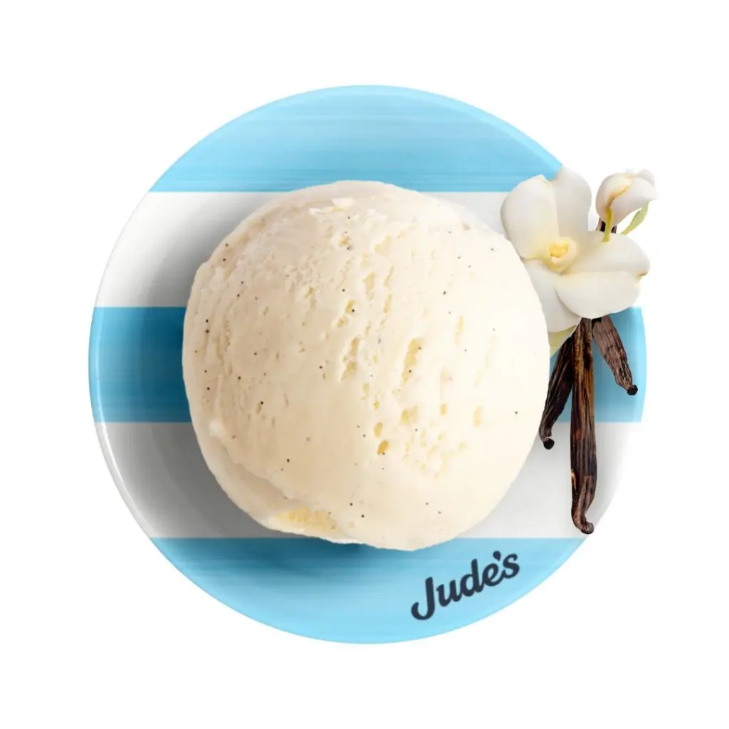 VEGAN VANILLA ICE CREAM, Frozen - 4ltr