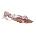 CALAMARO SPORCO MAROCCO 2P IWP 5KG(IK)