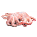 POLPO MAROCCO T7 FIORE IQF 15KG(IK)