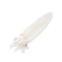 CALAMARI PULITI MAROCCO P IWP 5KG(GF)