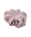 POLPO MAROCCO T5 IQF 15KG