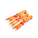 SCAMPI INTERI 8/12 OROMAR 6PZX750GR NETTO(NE)
