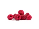 LAMPONE LIOFILIZZATO INTERO 3PZX60GR(GR)