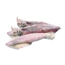 CALAMARO SPORCO 3/6 INDIA IQF 8KG NETTO(NF)