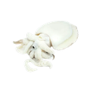 SEPPIA PULITA 40/60 FAO71 BLOCCO 6PZX2KG(ID)