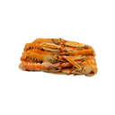 SCAMPI IRLANDA 13/16 ROONEY FISH 6PZX750GR(SU)