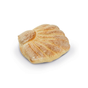 PANE CONCHIGLIA 40PZX100GR(VM)