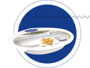 GARGANELLI AL SALMONE