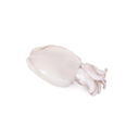 SEPPIA MAROCCO IQF 200/400 6KG(IC)