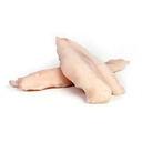 FILETTI PANGASIO 120/170 10PZX800GR(SU)