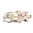 ANELLI/CIUFFI CALAM. IND. S/P 10/20 10PZX800GR