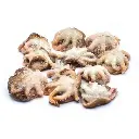 BABY OCTOPUS 20/40 - 10pzX1kg