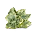 BORRAG. IN CROSTA DI GRANO 1kg(SC) BATTERED BORAGE